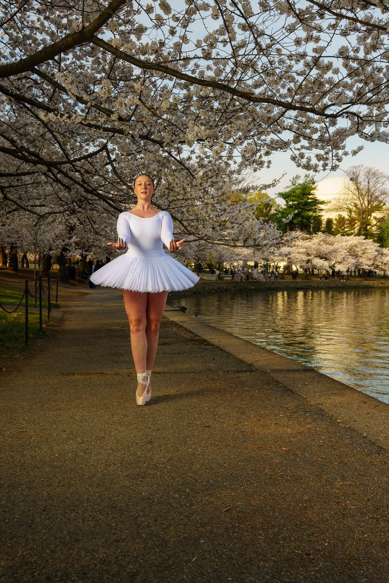 Ballerina on pointe under cherry blossoms